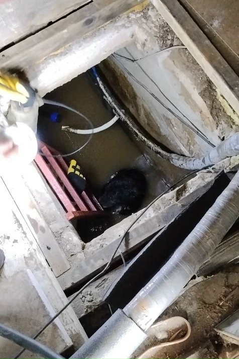 «Спасатели