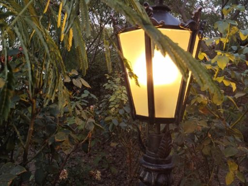 В Кинешме мать бойца СВО добилась освещения на тёмной улице