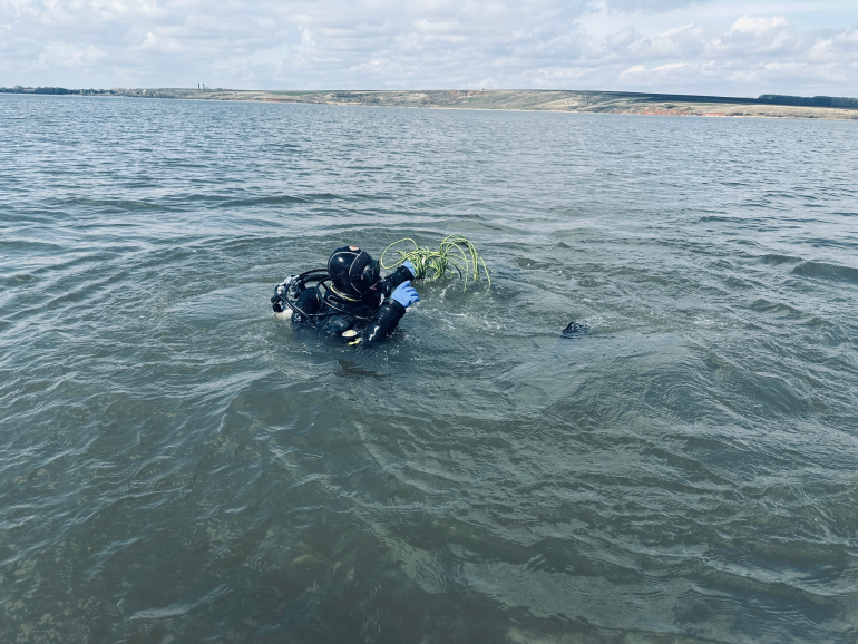 поиски рыбака