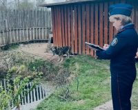 В пруду крестецкого села Ямская Слобода утонул мужчина