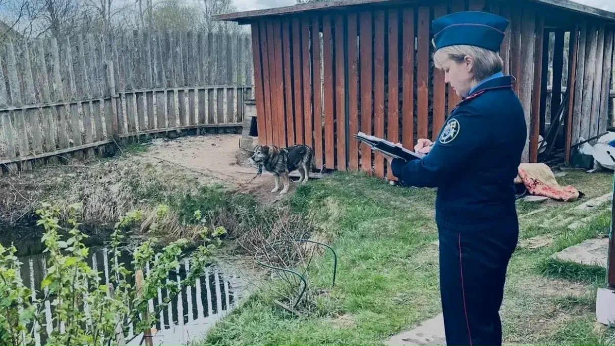 В пруду крестецкого села Ямская Слобода утонул мужчина