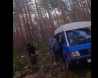 Мусорная «бомба» под Боровичами