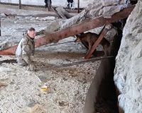 В Иванове спасатели вызволили собаку из заброшенного здания