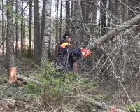 В Новгородской области борются с последствиями разгула стихии