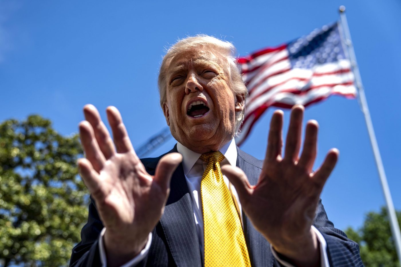 Дональд Трамп