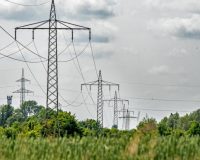 Под Великим Новгородом лес замусорили
