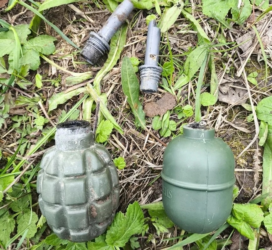 В Ивановском районе рядом с домом нашли гранаты