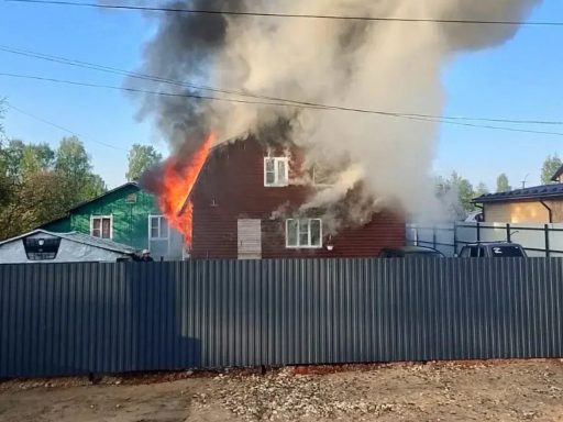 В Новгородской области мать и сын спаслись при пожаре, дедушка – погиб