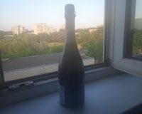Пензячка после застолья ударила подругу распитой бутылкой по голове