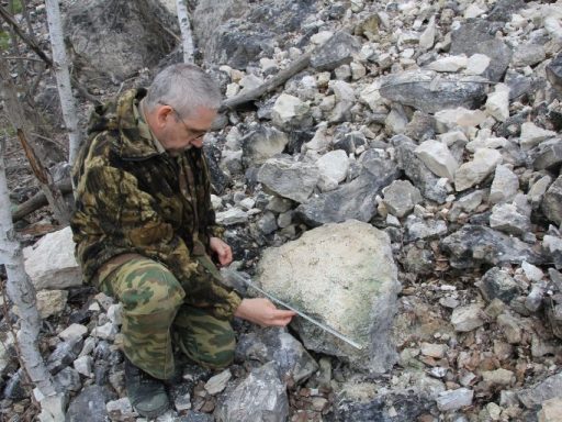 редкий коралл