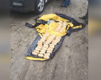 В Чудове маскировавшиеся под туристов курьеры задержаны при перевозке пятнадцати кг наркотиков