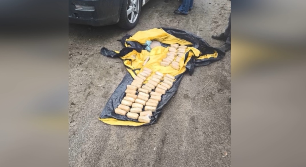 В Чудове маскировавшиеся под туристов курьеры задержаны при перевозке пятнадцати кг наркотиков