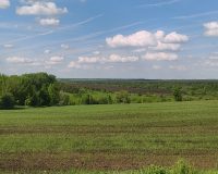 Грядущий июль в Центральной России будет на 1-2 градуса выше нормы