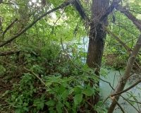 В Тульской области в реке Красивая Меча утонула 81-летняя женщина