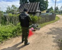 В Новгородской области насмерть разбилась семидесятилетняя женщина на электровелосипеде
