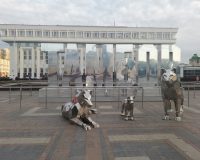 В Тамбовской области разработали автомобильные маршруты для туристов