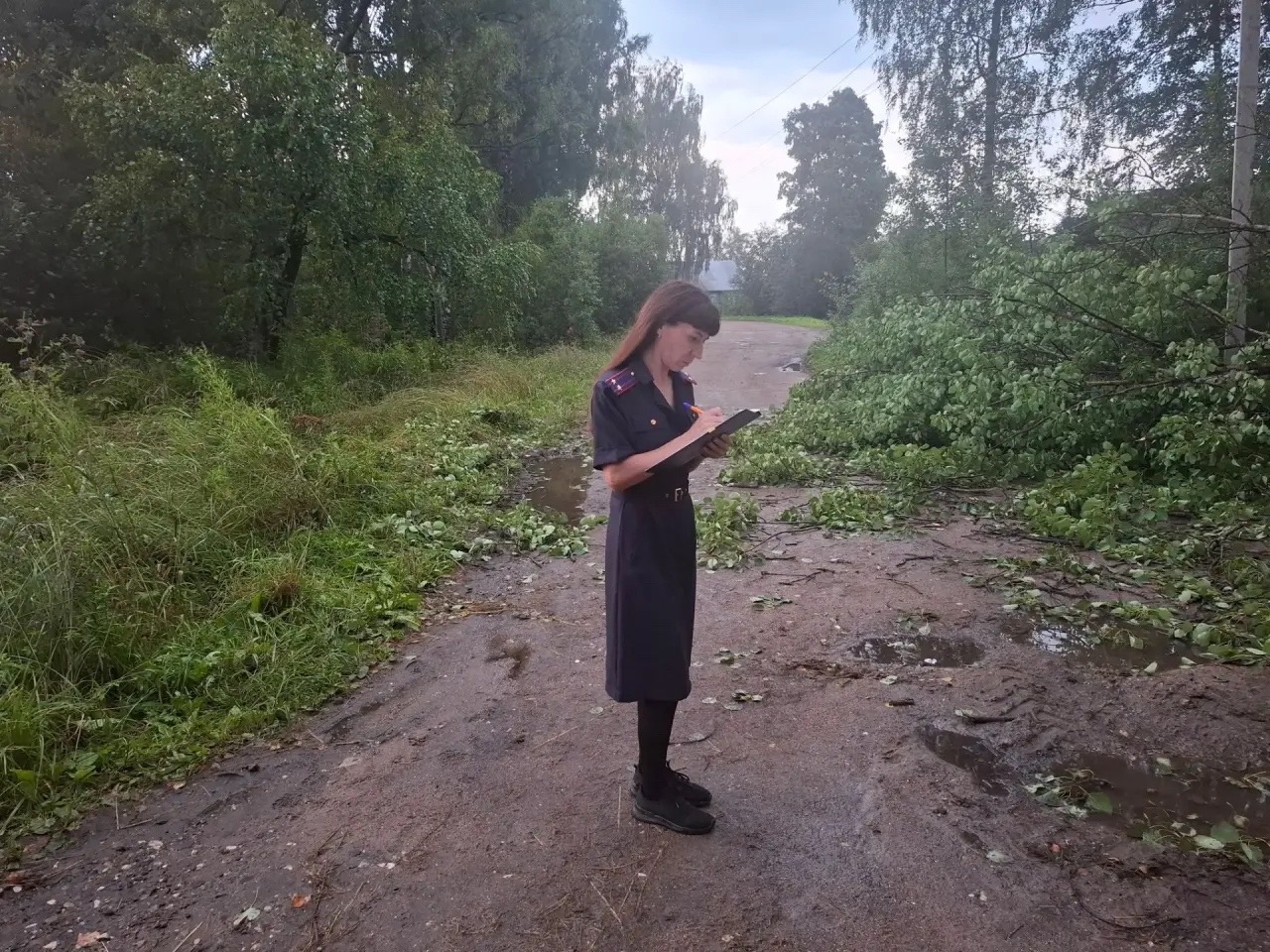 В Новгородской области мужчина погиб от электрического разряда