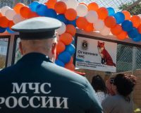 Ивановские пожарные построили лисам вольер и взяли опеку над ними