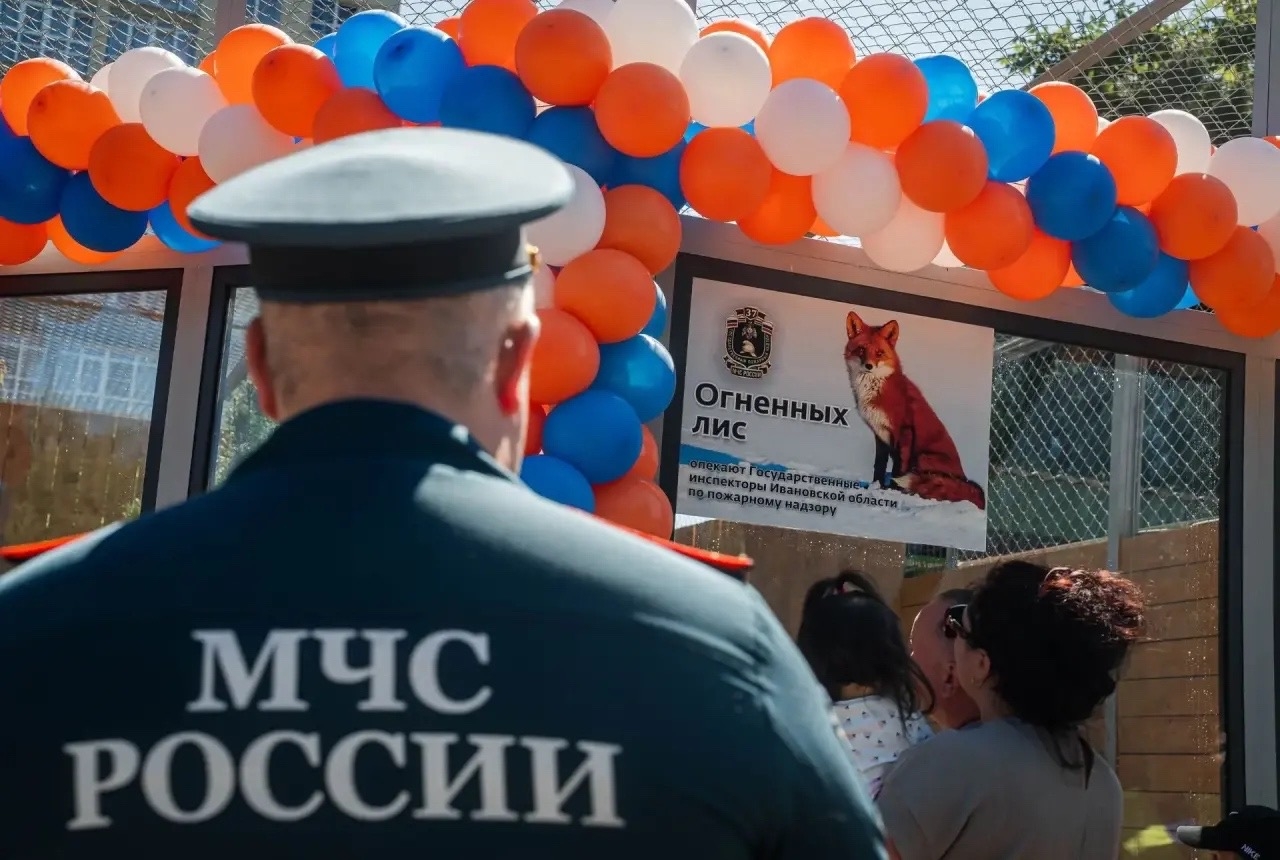 Ивановские пожарные построили лисам вольер и взяли опеку над ними