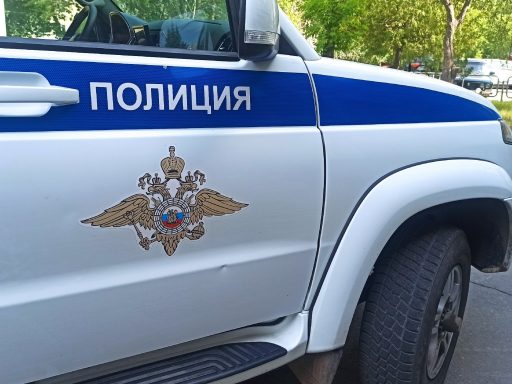 Два пензяка не поделили девушку и после разборок угодили в полицию