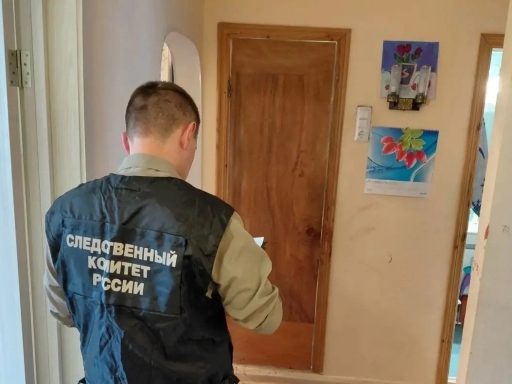 В Новгороде великовозрастный сын растерзал свою мать – известного в городе врача
