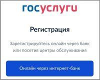 Пензенские сыщики поймали юного киберпреступника