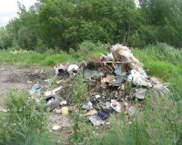 Жителю деревни в Парфинском округе вернули деньги за уборку мусора, которой не было