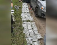 Под Боровичами полиция перехватила наркокурьера, перевозившего более 22 кг наркотиков