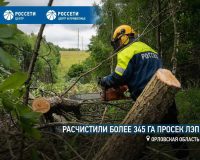 Энергетики «Орелэнерго» расчистили более 345 га просек ЛЭП