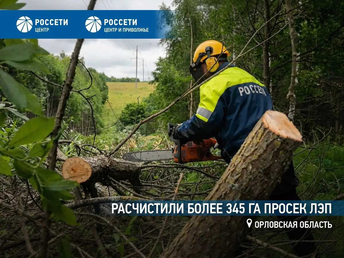 Энергетики «Орелэнерго» расчистили более 345 га просек ЛЭП