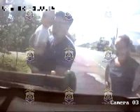 В Новгородской области бродячая собака набросилась на ребёнка