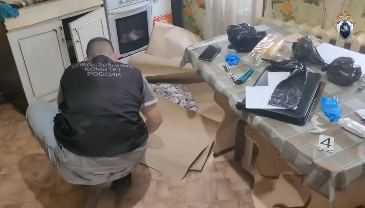В Пензе родная тетя обвиняется в расправе над четырехлетней племянницей