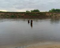 Спасатели на месте происшествия