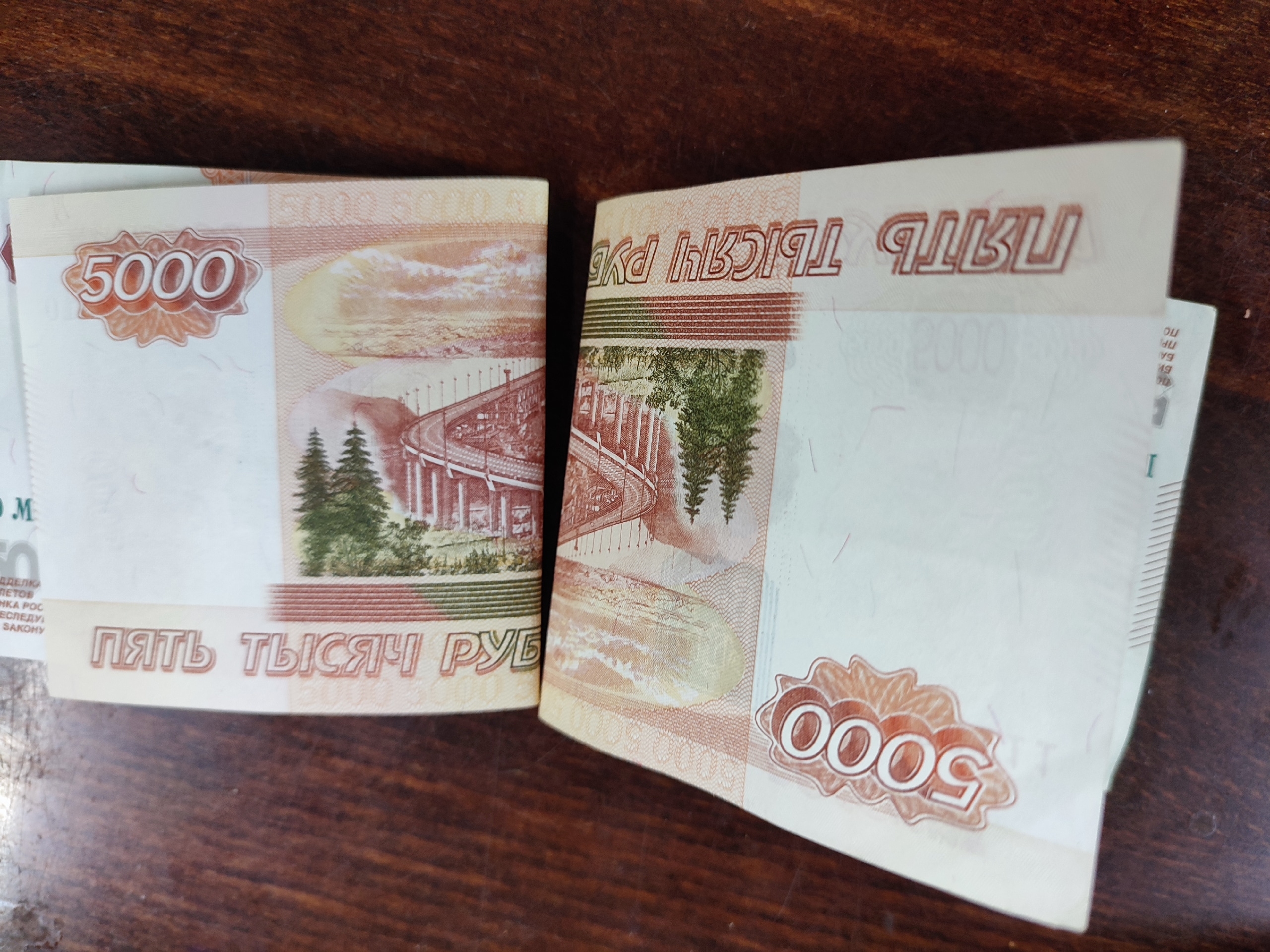 Уловка с домовым чатом стоила пензенской пенсионерке миллион рублей