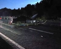 В Новгородской области в ДТП погиб лось, люди – в больнице