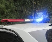 Пензяк решил заработать на заборе из дуба и попал под уголовную статью