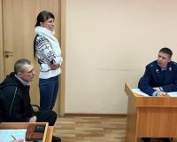 За шрамы на лице девочки заплатят хозяева агрессивного стаффа из Новгорода