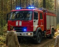 «Чёрные дни» для новгородских грибников