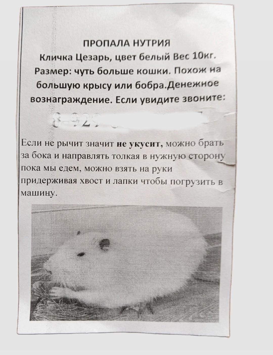 «Сбежавшую