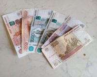 Крыса заплатит сто семьдесят тысяч рублей за взятку в Новгородской области