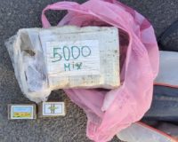 Пензенские оперативники поймали наркокурьера с пятью кило гашиша