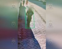 Новгородская полиция вычислила участницу хищения 11 млн рублей у матери погибшего бойца