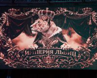Легендарное шоу «Империя львиц» - на манеже ярославского цирка.