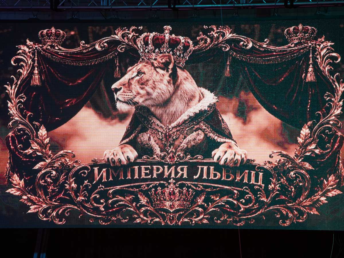 Легендарное шоу «Империя львиц» - на манеже ярославского цирка.
