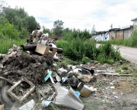 В Новгородской области за неубранный компанией «Экосити» мусор людям возвращают деньги