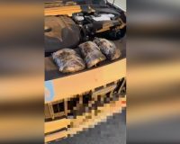 Новгородские полицейские перехватили наркокурьера с тремя килограммами «синтетики»