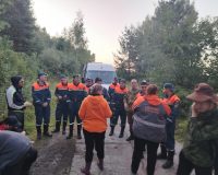 Пенсионерку из Ивановской области нашли живой после шести дней в лесу без еды