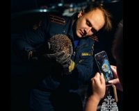 Тульские спасатели помогли ежику выбраться из бетонной западни