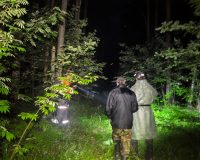 Заряженный телефон помог пенсионеру выйти из леса в Ивановской области