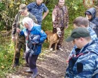 Из любытинского леса спасатели вывели старушку, которая провела там всю ночь